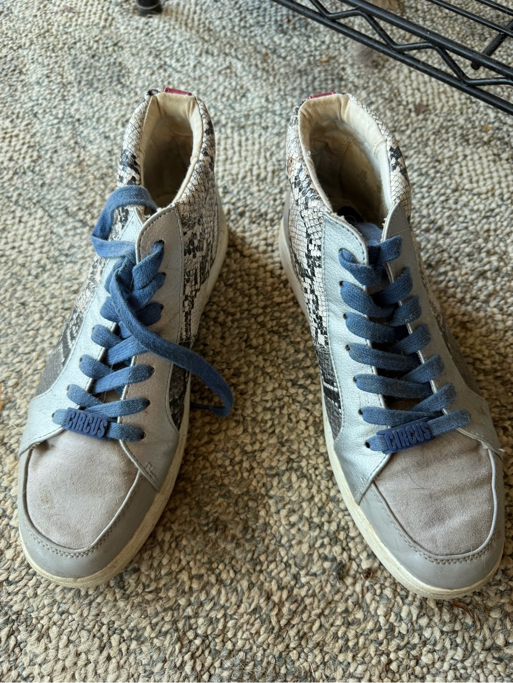 Circus by Sam Edelman Beige Snake-Print High-Top Sneakers with Blue Laces